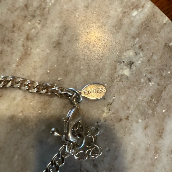 Express Necklace - Picture 3 of 3